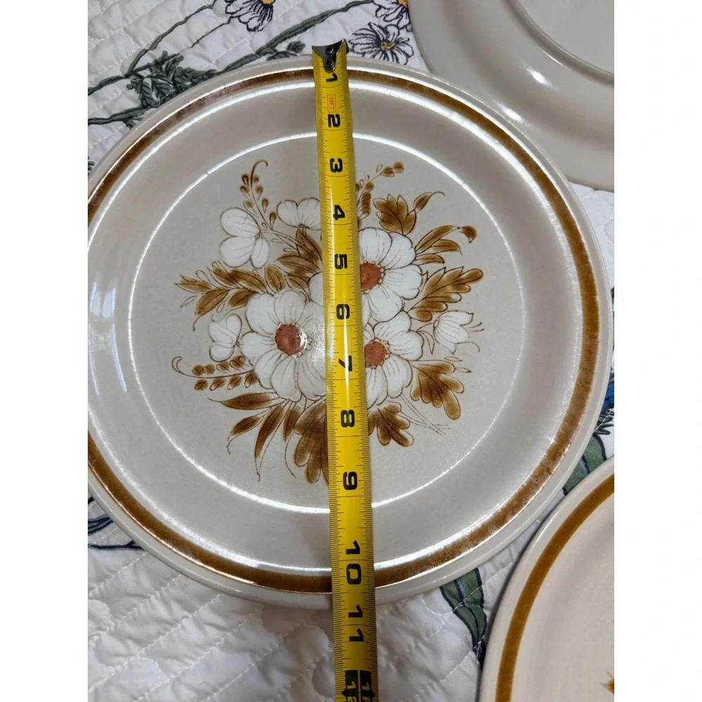 Mountain Wood Collection Dinner Plates 10.5in Brown White Dried Flowers Stonewar